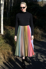 Load image into Gallery viewer, RENTAL - MINERAL SKIRT