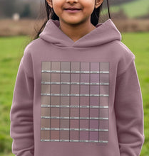 Load image into Gallery viewer, KIDS MAUVE CHROMOLOGY HOODY