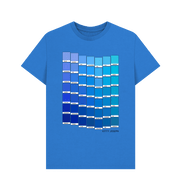 Bright Blue FINAL BLUE CHROMOLOGY TO SAMPLE