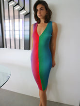 Load image into Gallery viewer, PREORDER | PARROT DRESS
