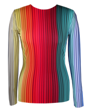 Load image into Gallery viewer, PREORDER | CHROMA LONG SLEEVE TOP
