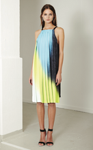 Load image into Gallery viewer, SAMPLE SALE | &#39;SPRAY&#39; PLEATED DRESS
